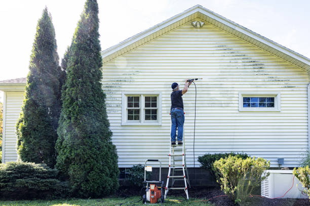 Professional Pressure Washing Services in Silver Creek, NY